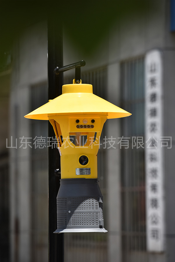 丝瓜视频官网 丝瓜视频官网